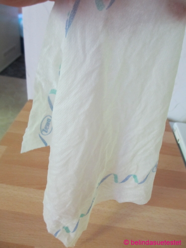 zewa_produkttest_bild_der_frau_06