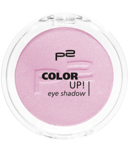 9008189324406_COLOR_UP_EYE_SHADOW_310