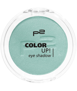 9008189324437_COLOR_UP_EYE_SHADOW_320