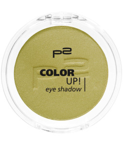 9008189324499_COLOR_UP_EYE_SHADOW_340